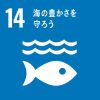 SDGs14.C̖L낤