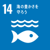 SDGs14.�C�̖L��������낤
